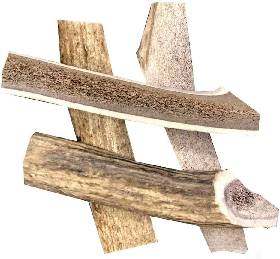 Premium Split Elk Antlers for Large Dogs - Natural Chews 6ft to 7ft in