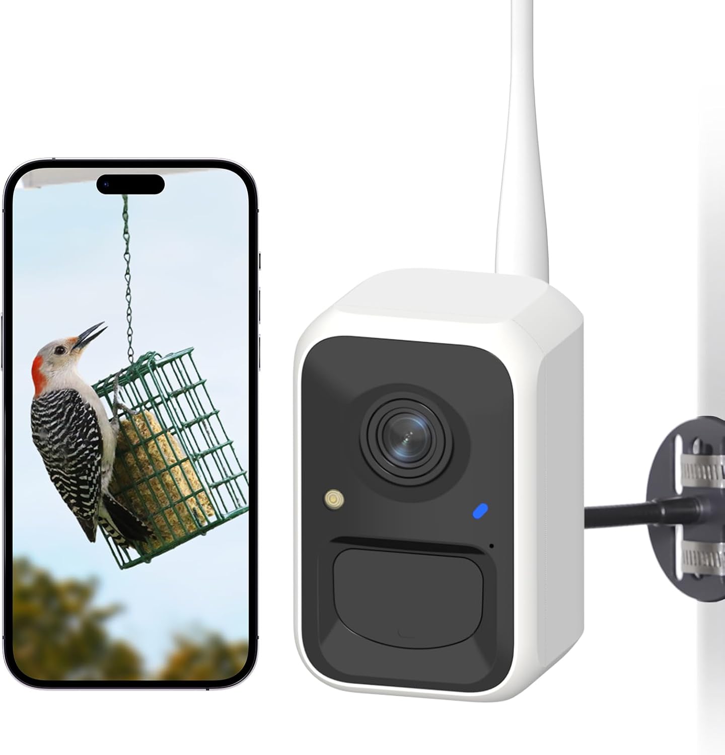 NETVUE Smart Bird Feeder Camera