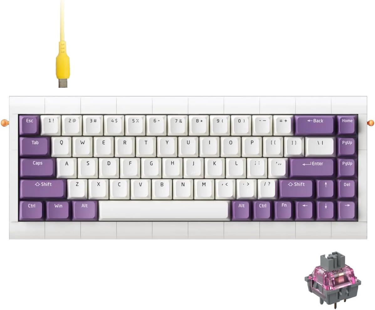 Lilith Q 65% Ergonomic Keyboard with Custom Lego-Compatible Case