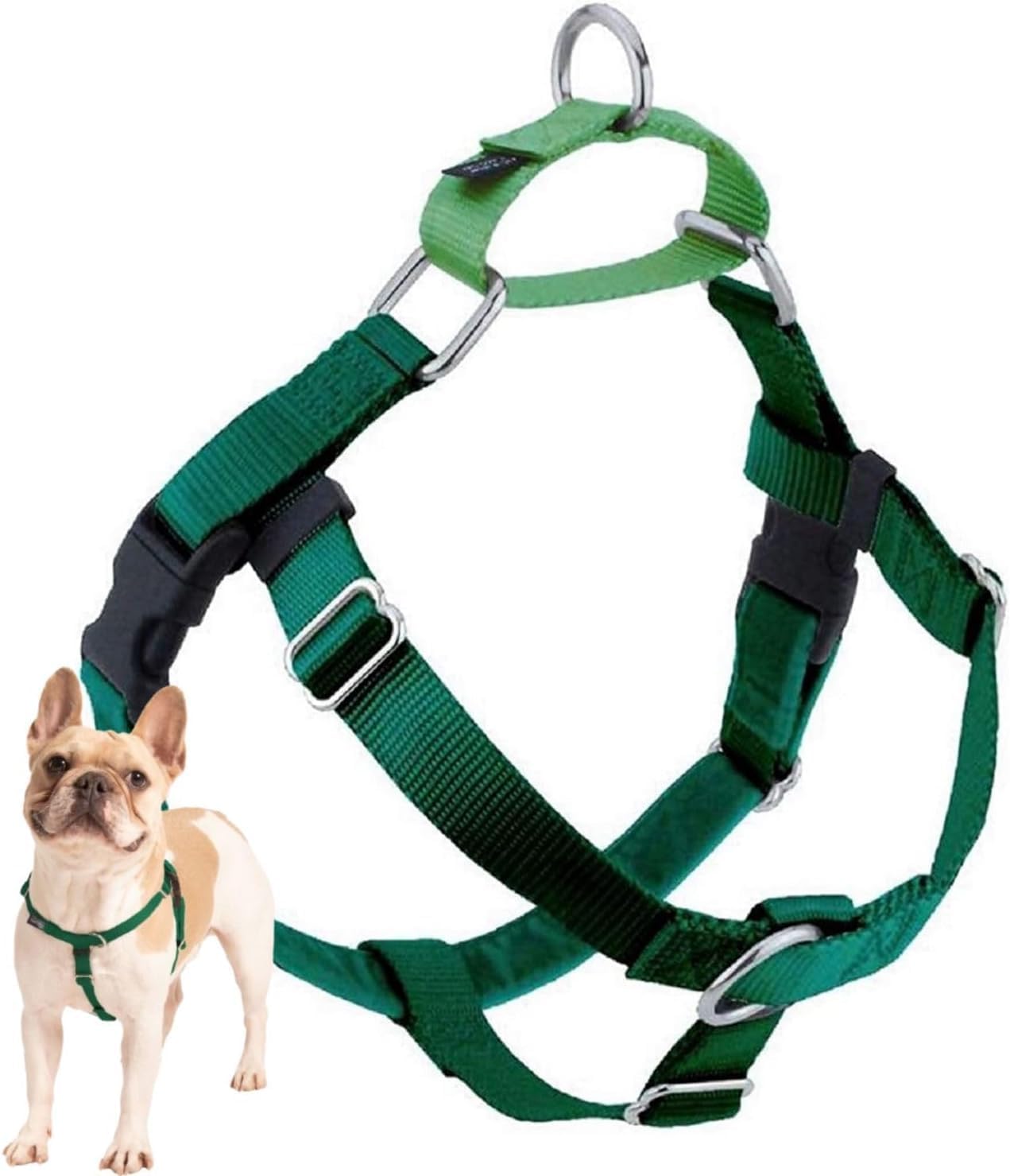 Freedom No Pull Dog Harness for Comfortable Control and Easy Walking