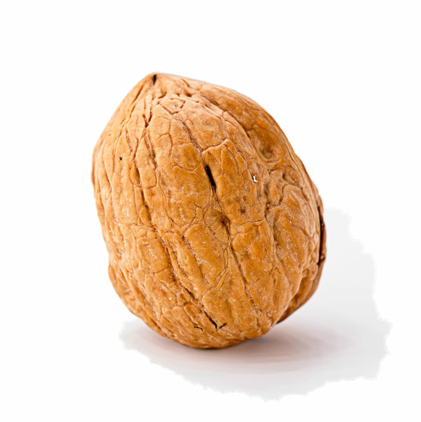 California Grown Whole Walnuts In Shell - 25lb Bulk Nuts