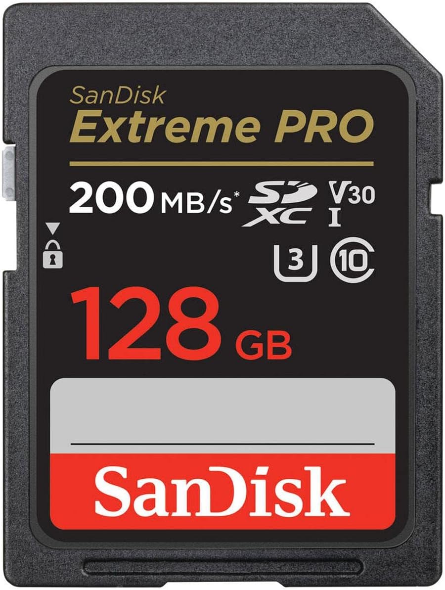 128GB High-Speed SanDisk SD Card