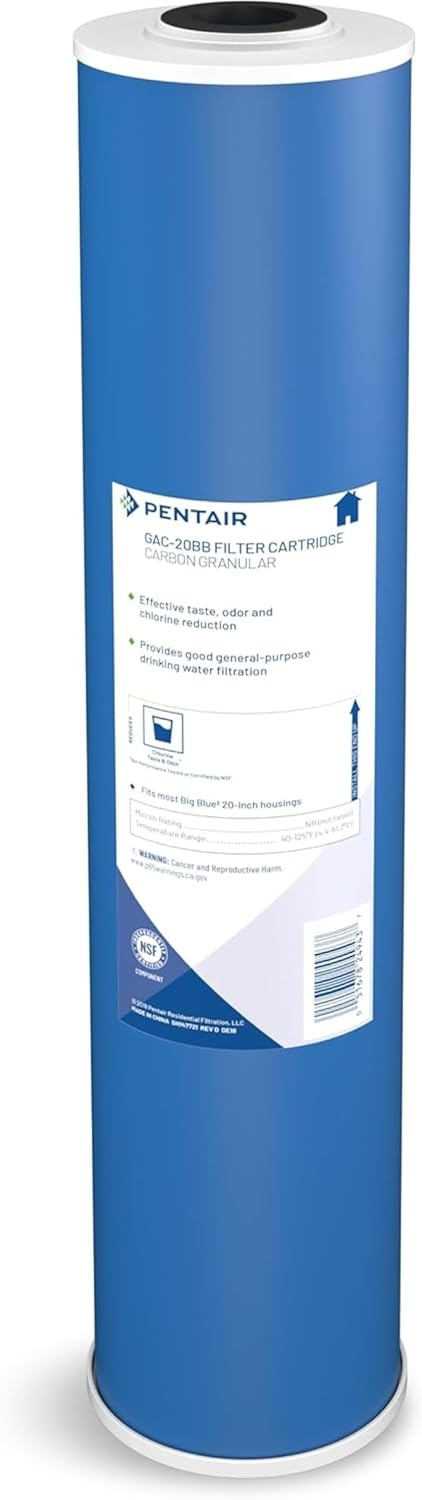 Pentair Pentek GAC-20BB Big Blue Carbon Water Filter Review
