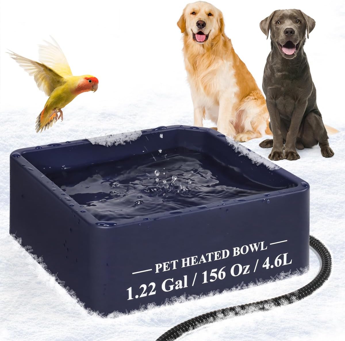 Outdoor Heated Water Bowl - 1.22 Gallon - Chew Resistant Cord - Blue