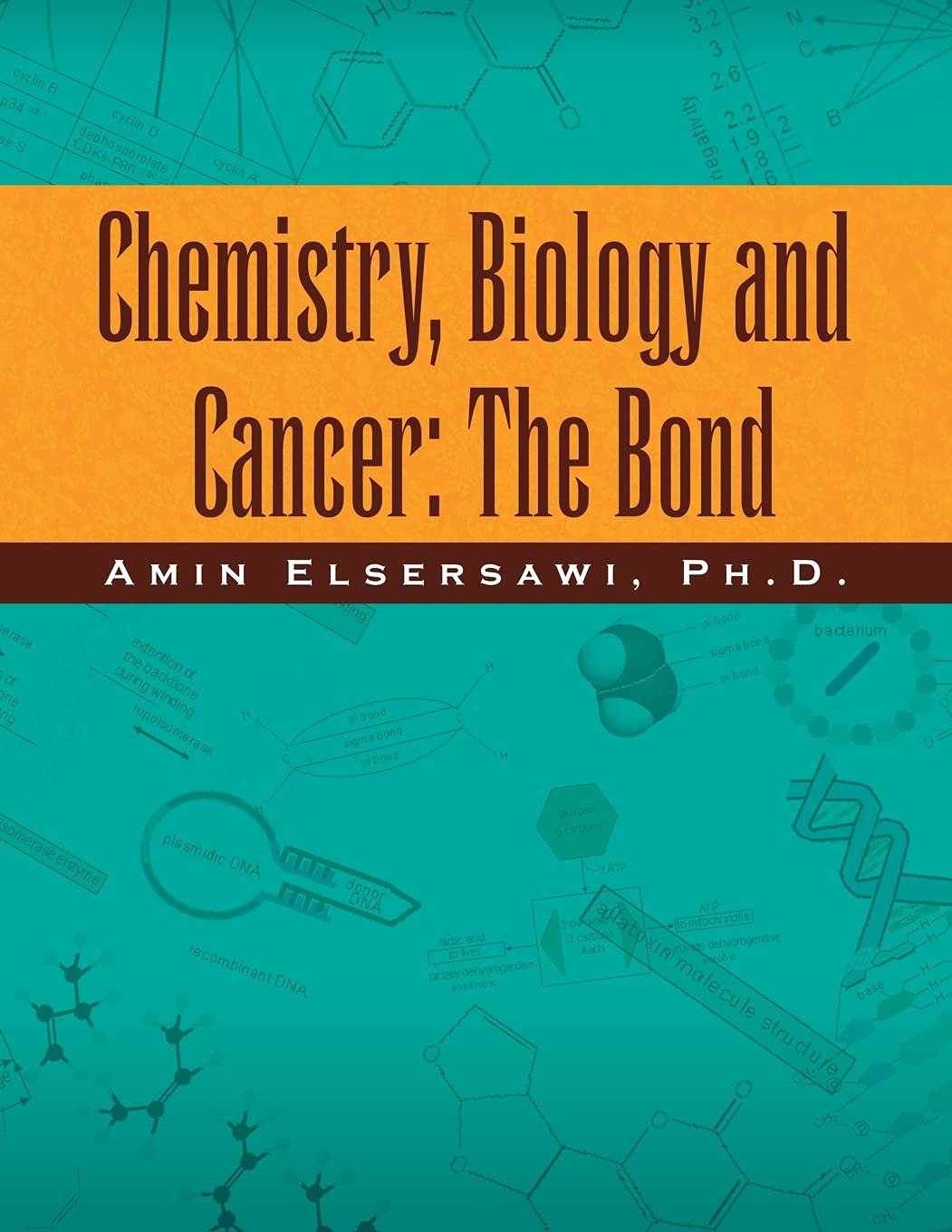 Chemistry, Biology and Cancer: The Bond Explored in Depth
