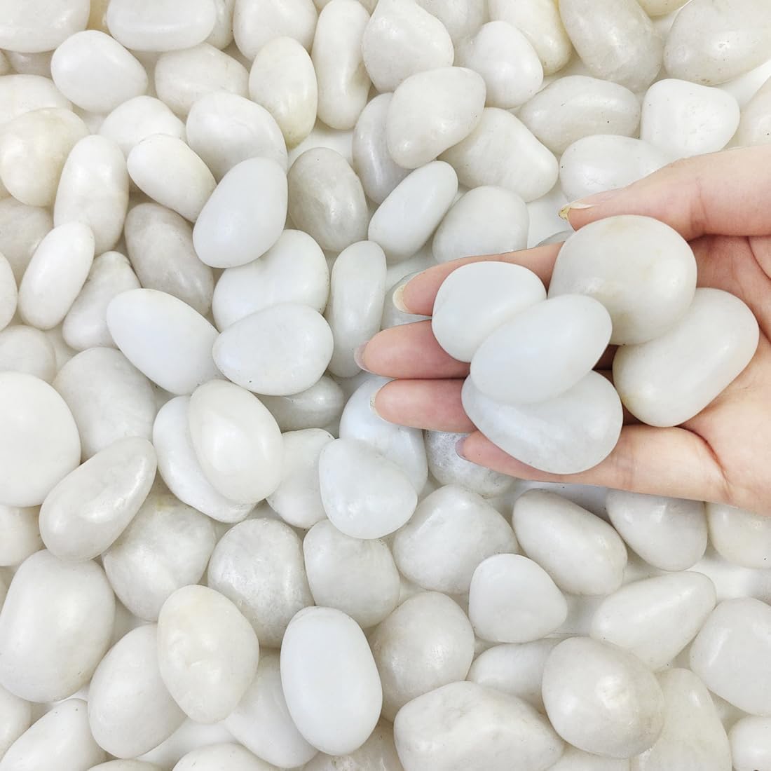 20 lbs White Pebbles for Indoor Plants and Garden Landscaping