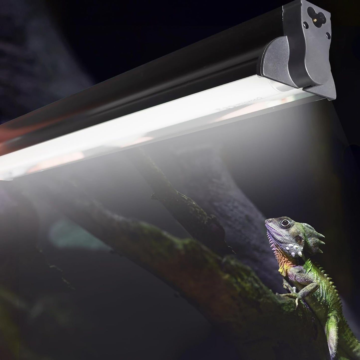 Hypool T8 Strip UVB UVA Reptile Lighting Fixture for Pets