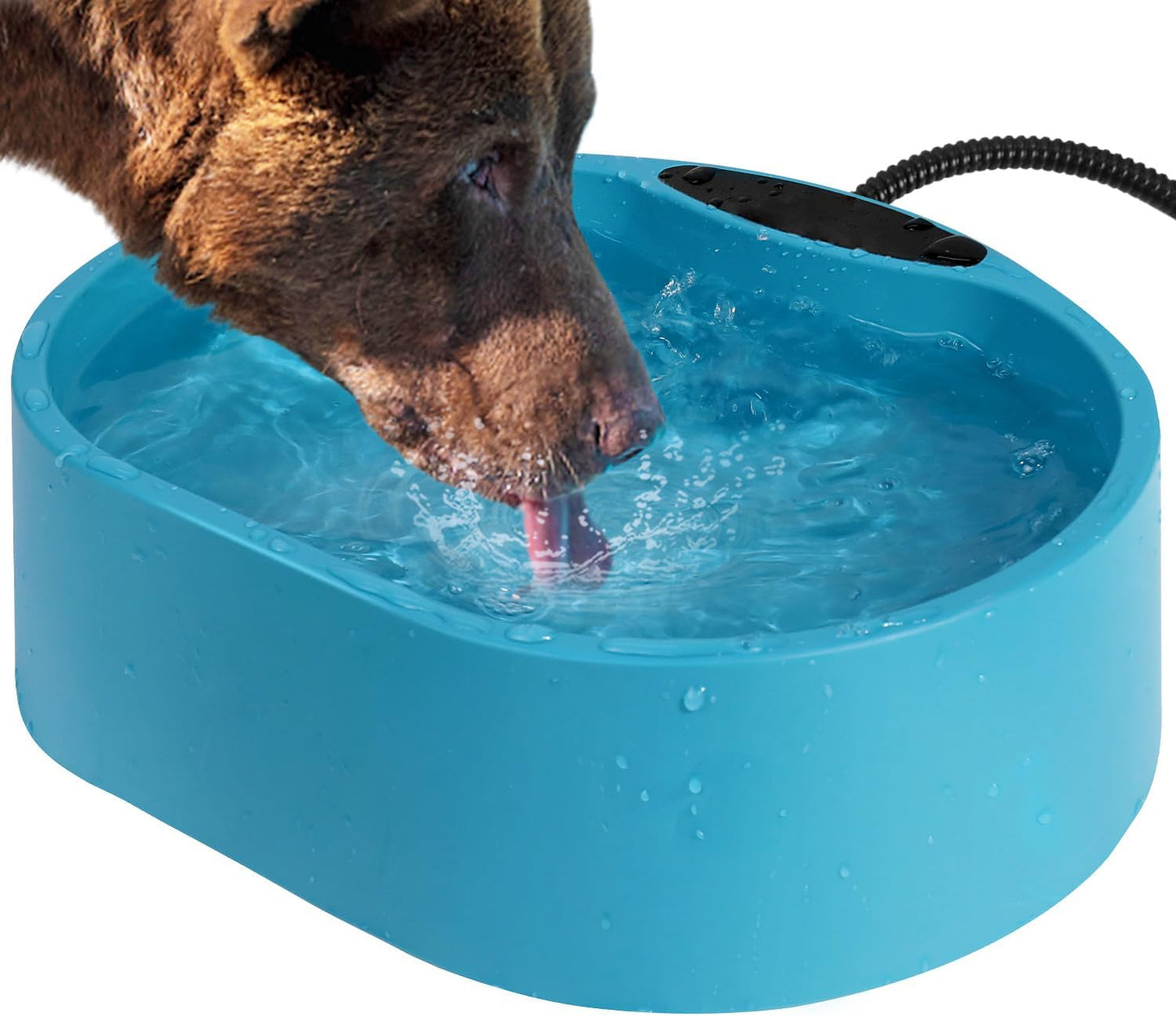 Heated Outdoor Pet Water Bowl - Winter Drinkable Water!