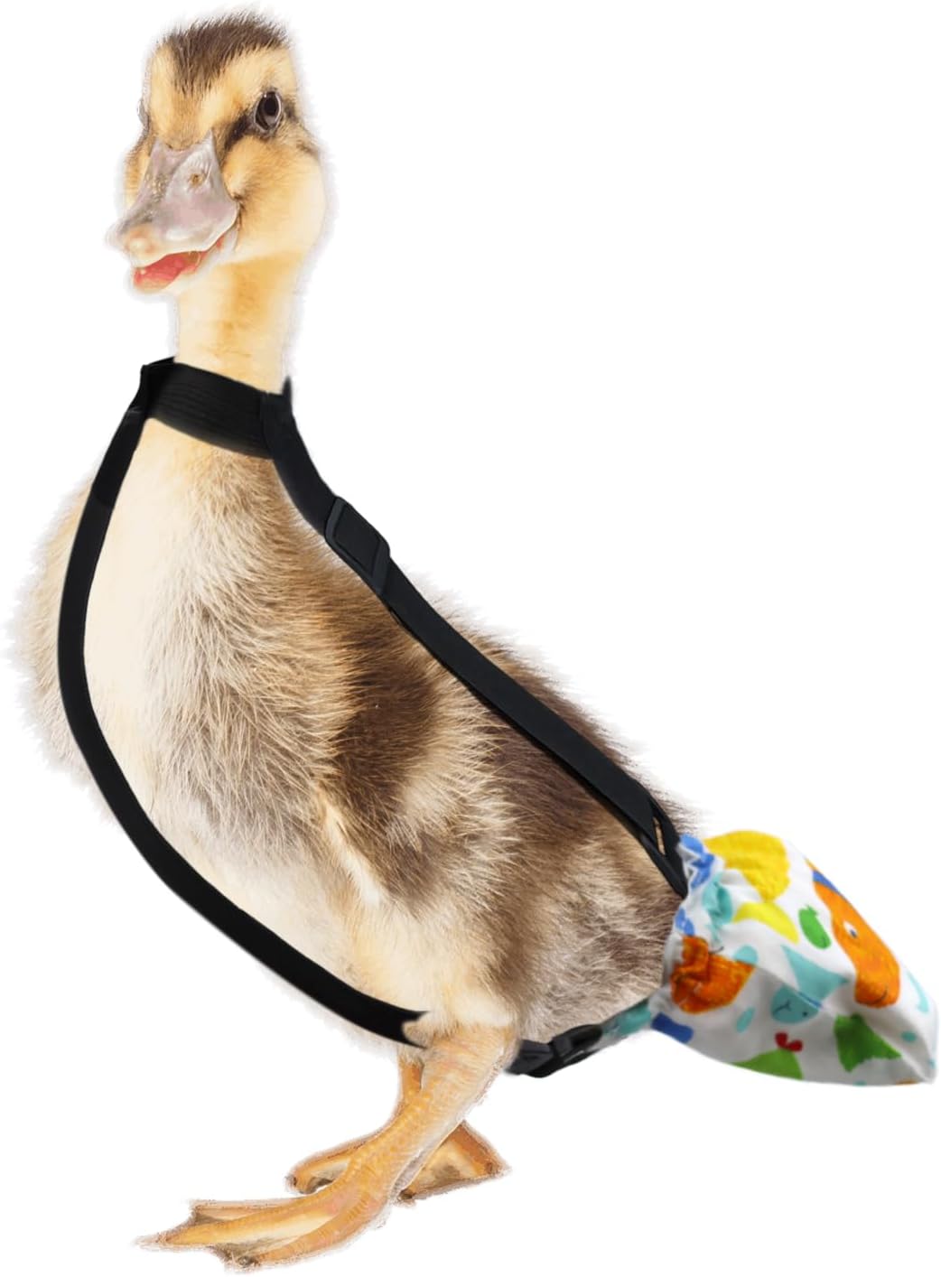 Pranovo Mini Duck Diapers 1-2 lbs 3-4 Weeks Old