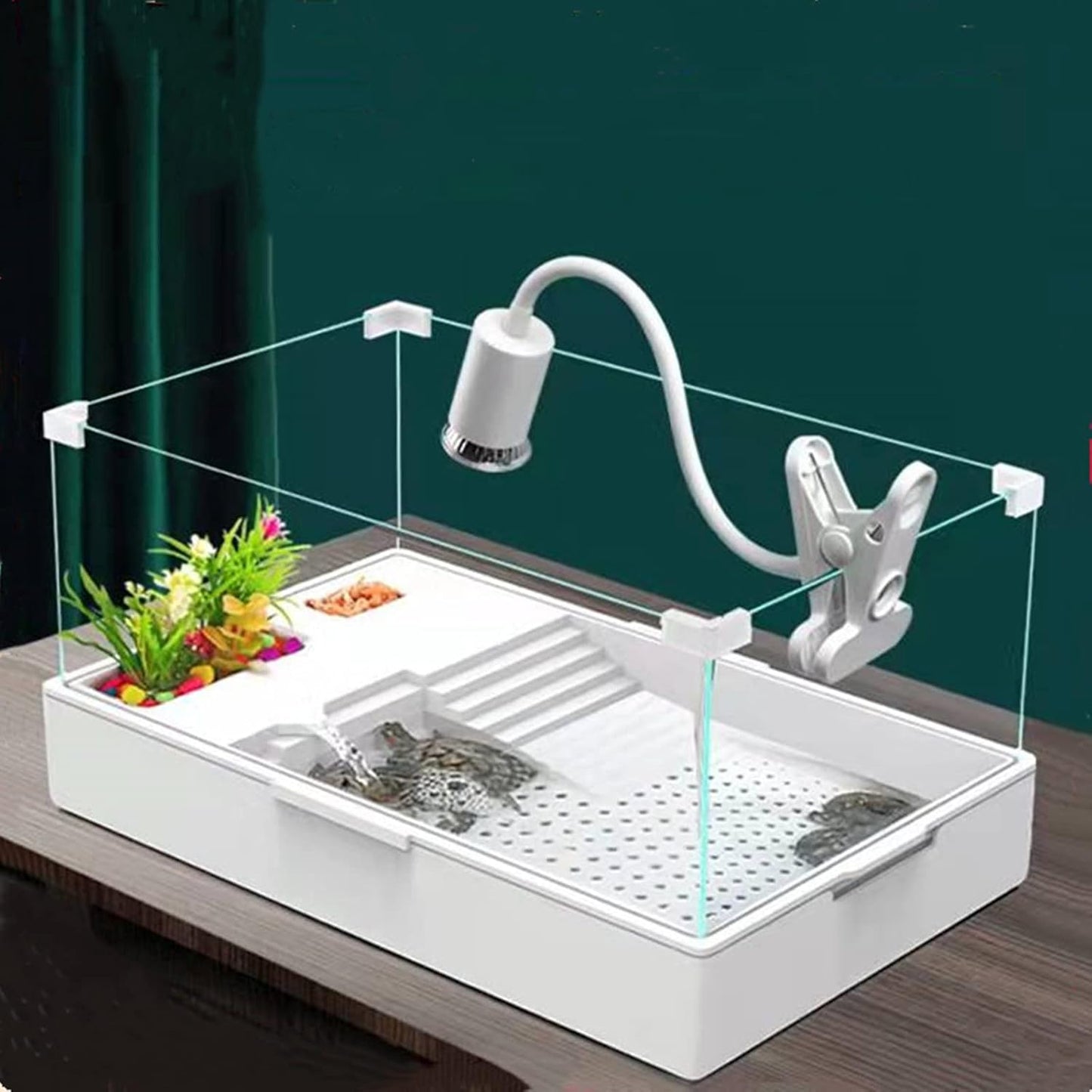 Turtle Tank Aquarium for Pet Turtle Reptile Habitat with Pump