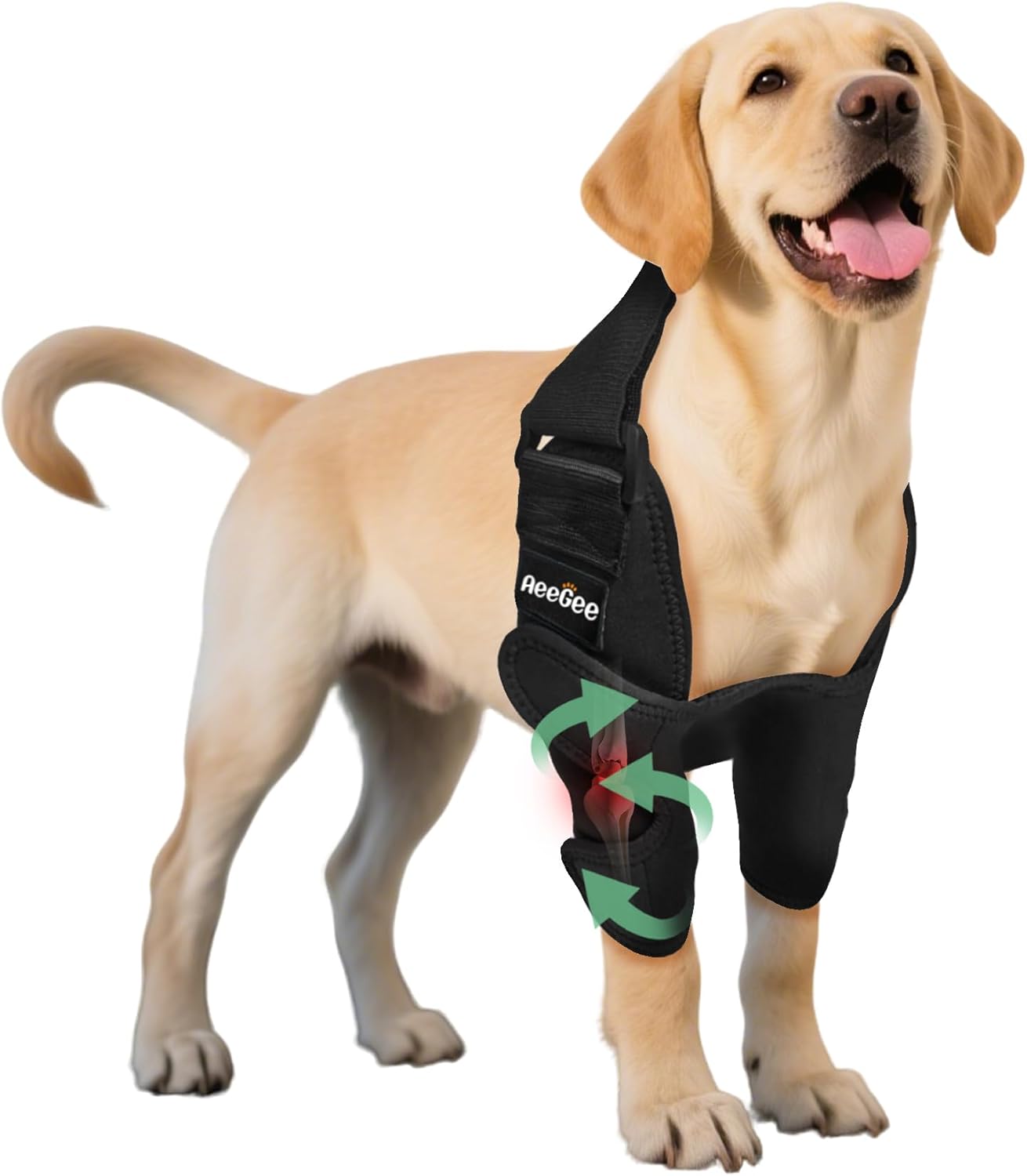 Adjustable Dog Elbow Brace for Torn Ligaments and Arthritis