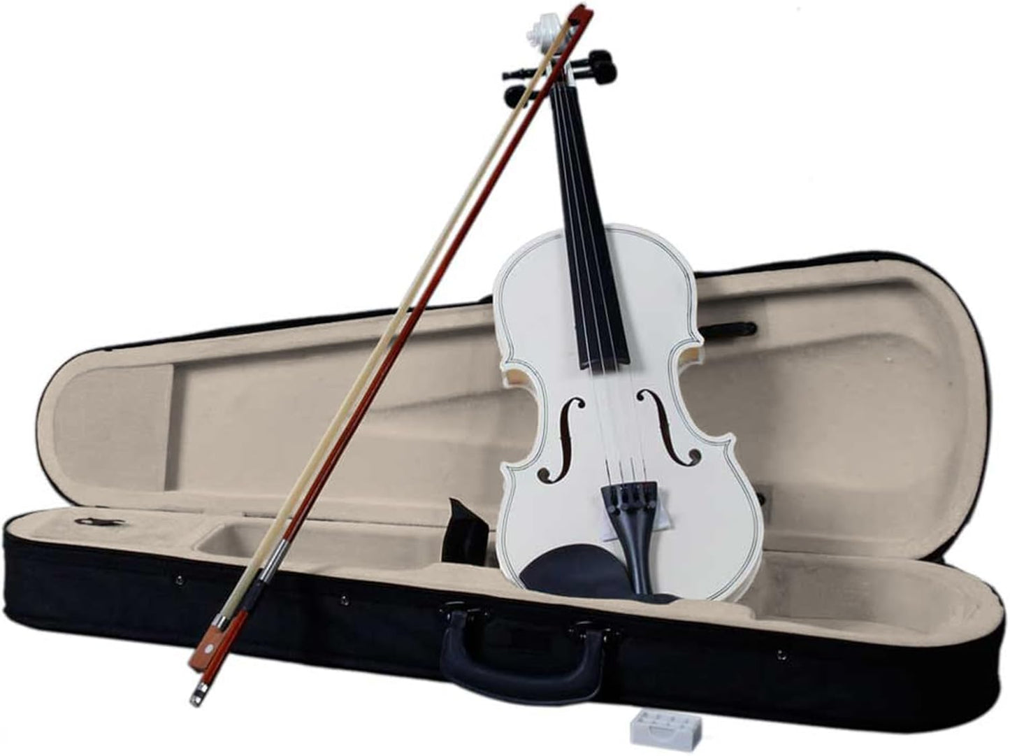 4/4 Beginner Violin Kit for Adults with Case and Accessories