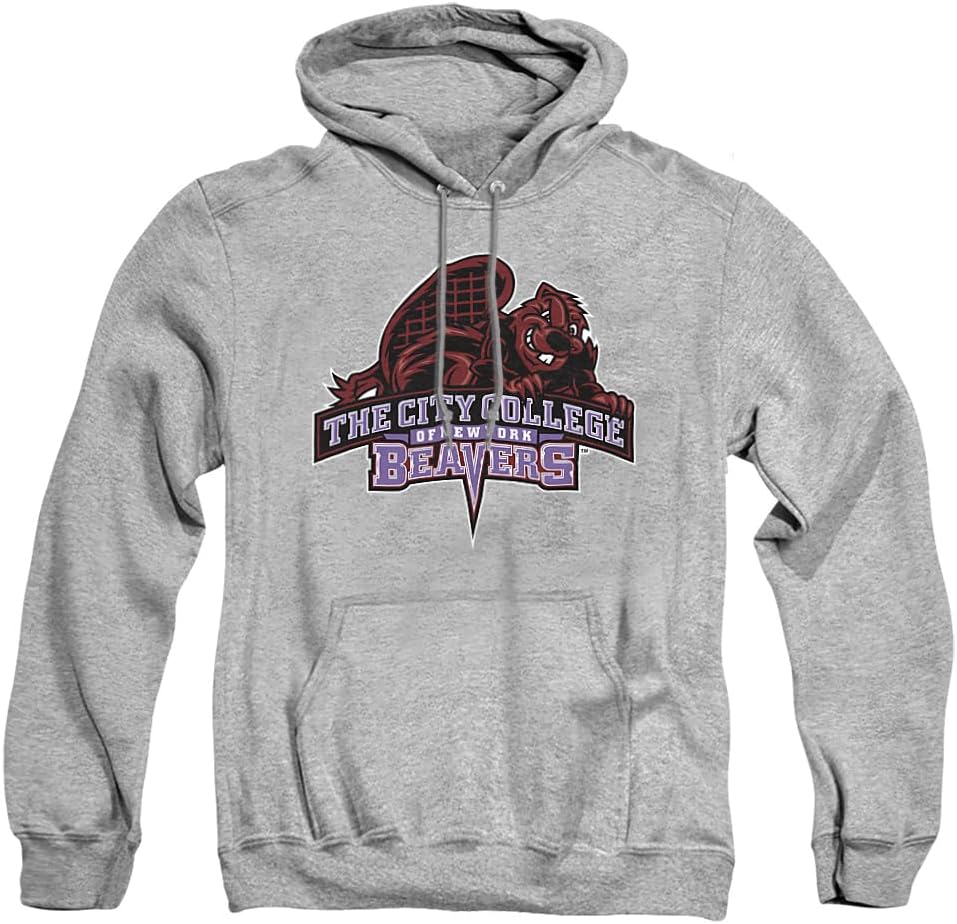 Official Collegiate Distressed Logo Hoodie for Everyday Wear