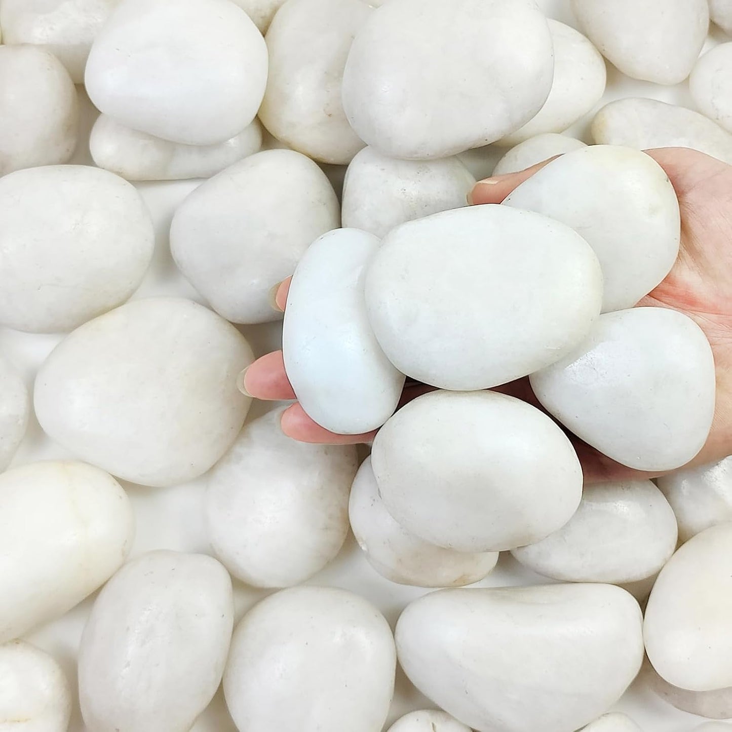 40 Pounds Large White River Rocks for Landscaping and Decor