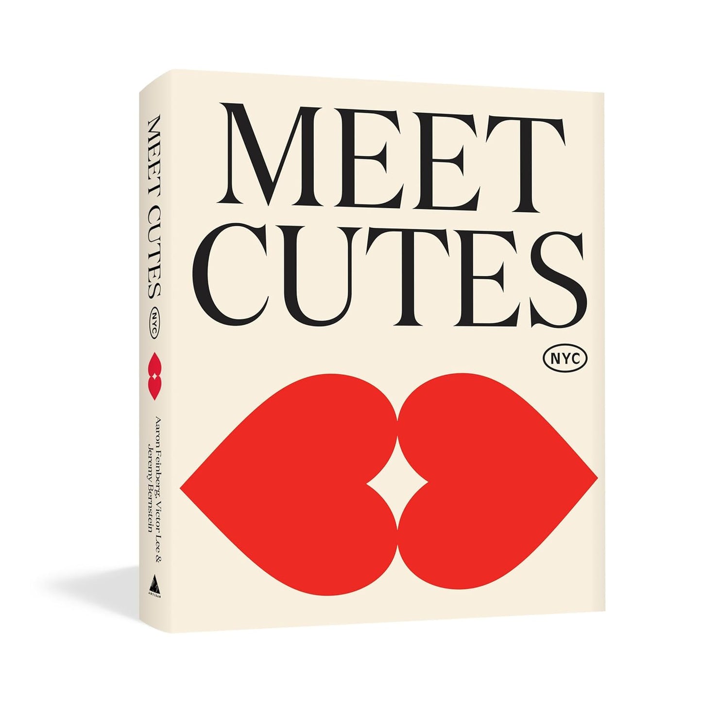 Meet Cutes NYC: True Stories of Love and Connection Book Review