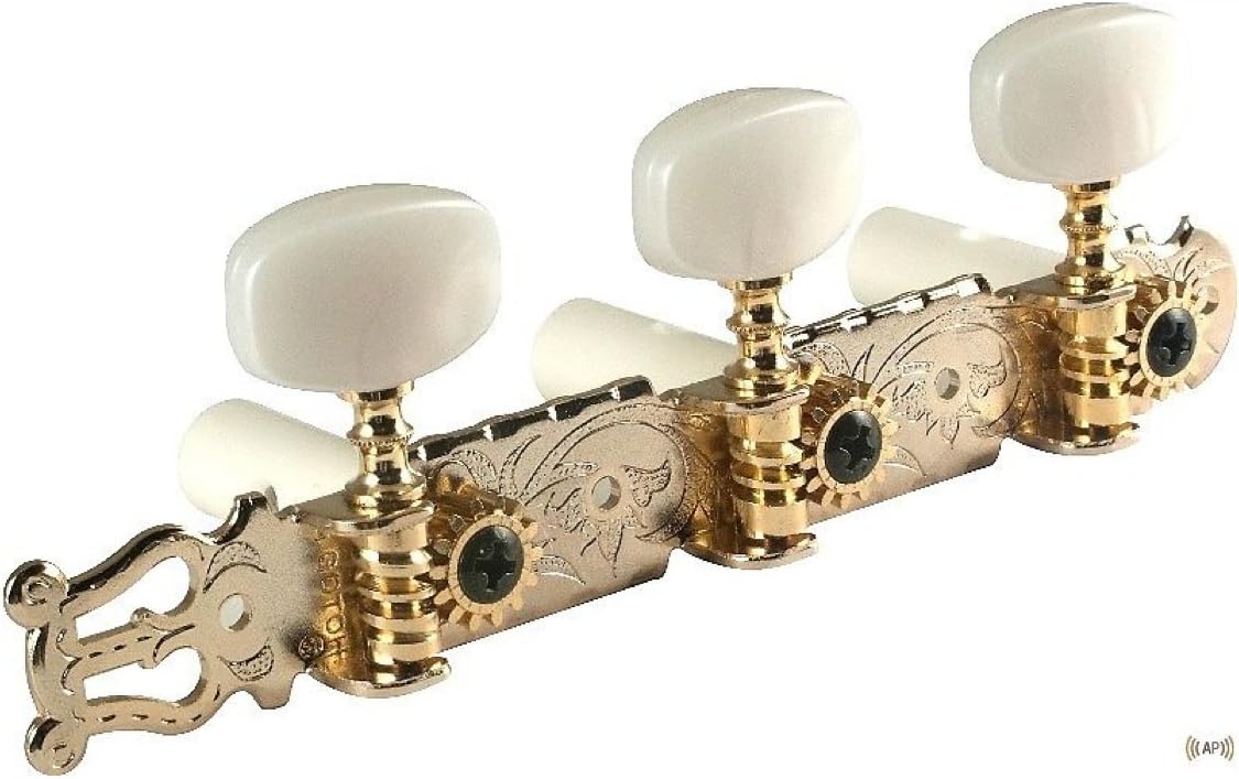 Enhance Performance with Flash Gold Gotoh Tuners