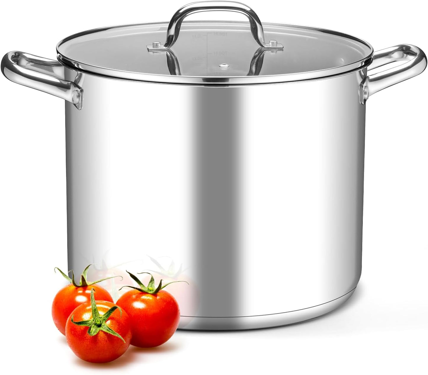 Leonyo 16 Quart Stock Pot With Lid for Cooking Pasta and Soup