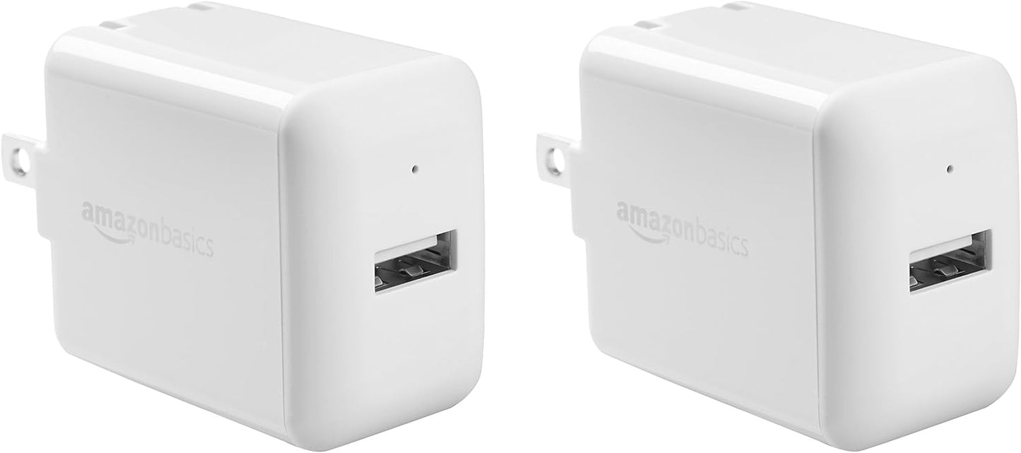 Fast Charge Duo: Basics 12W USB Wall Charger (2-Pack)