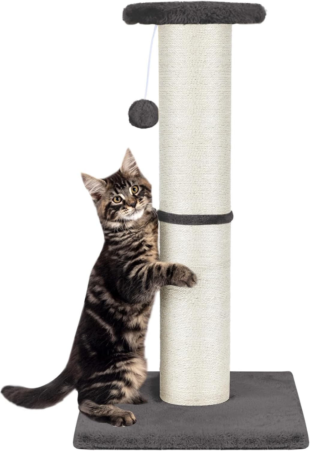 PAWSCRAT Cat Scratching Post 32in Tall for Indoor Cats