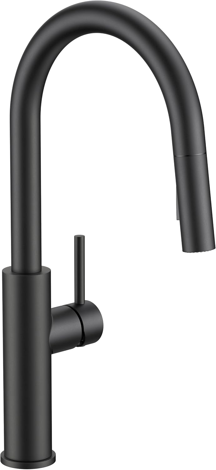 FORIOUS Kitchen Faucet with Pull Down Sprayer in Matte Black