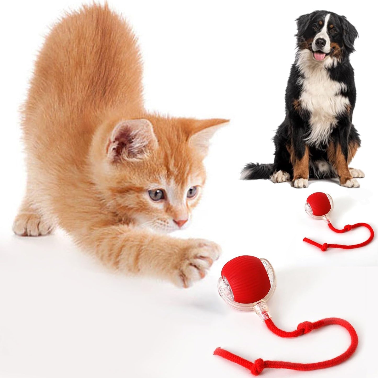 Interactive Rolling Pet Ball Toy - Fun for Cats & Dogs!