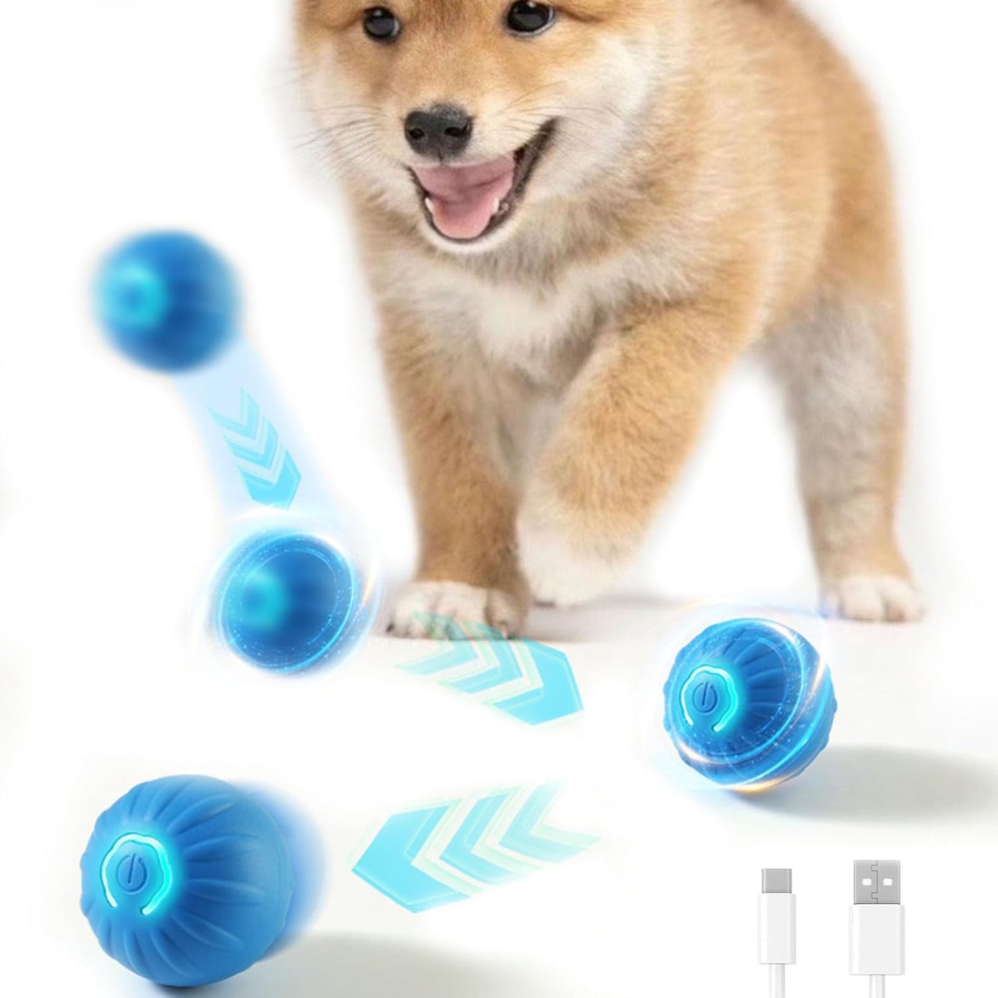 Interactive Dog Ball for Small & Medium Dogs