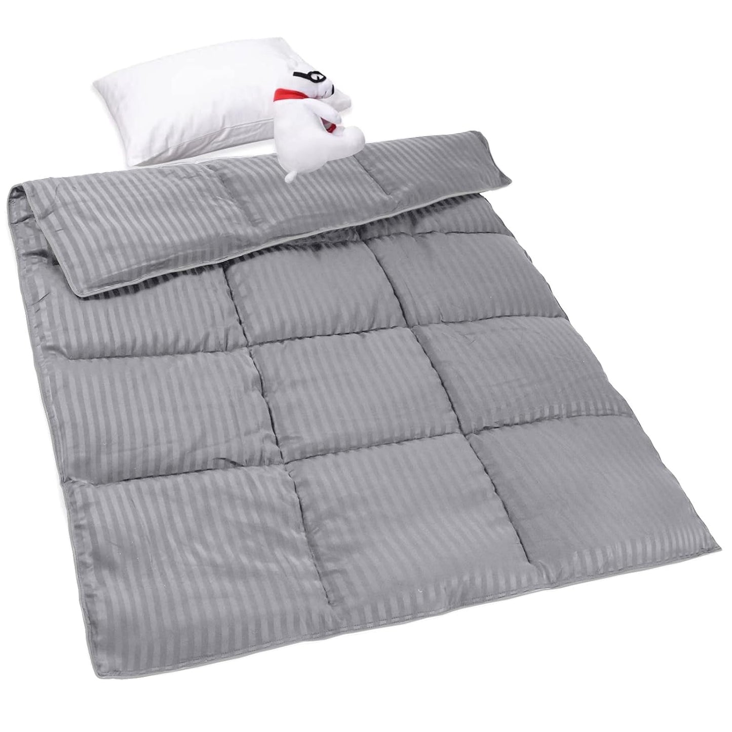 ZPECC Toddler Down Alternative Comforter for All Seasons