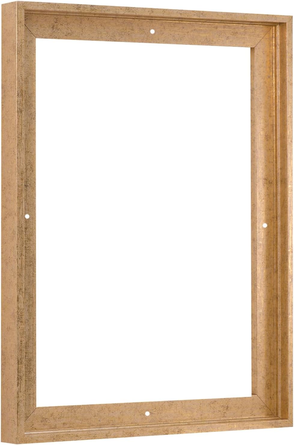 Pixy Canvas Floater Frame for 10x30 inch Artwork in Gold & Cream