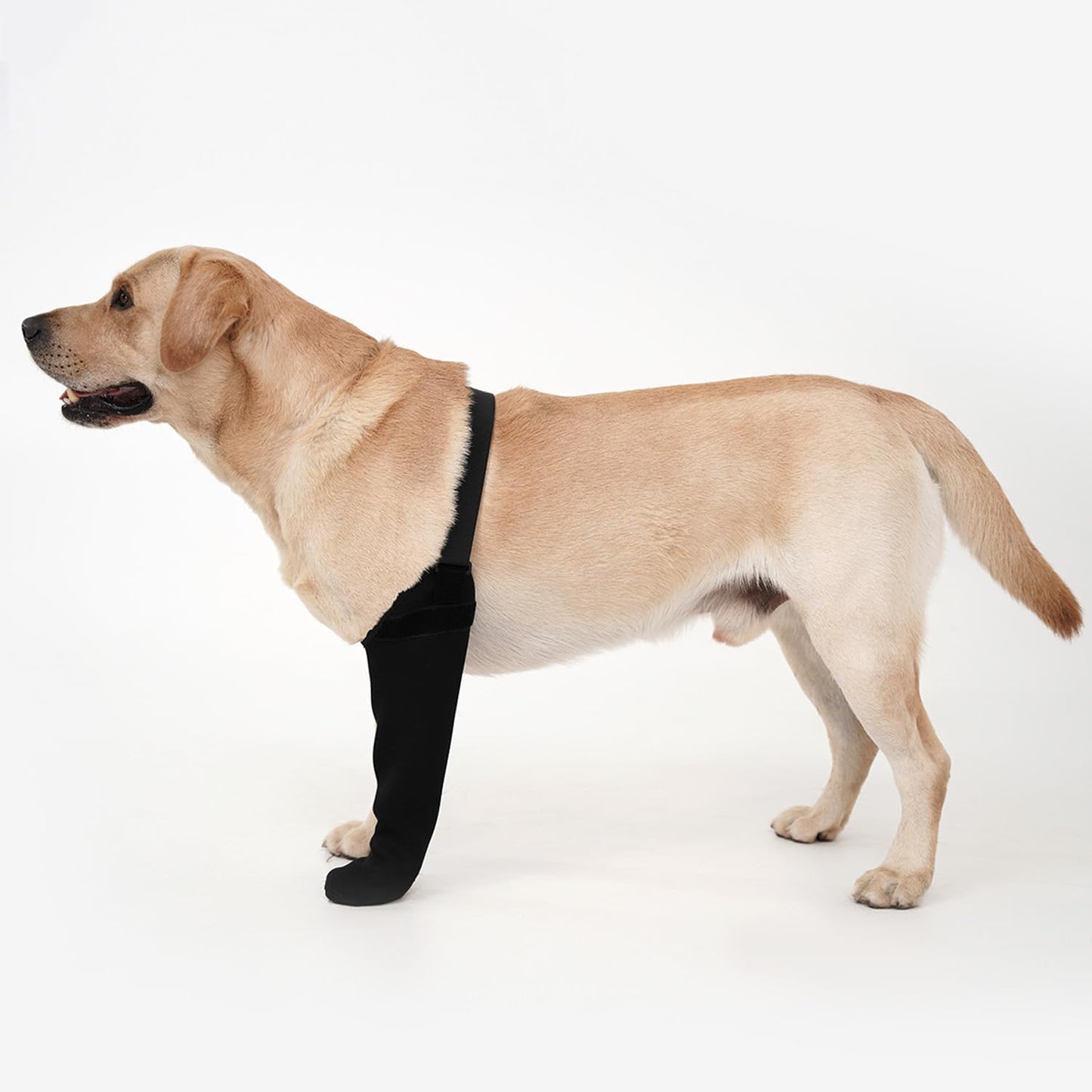 Dog Recovery Socks - Waterproof Paw Protectors for Healing