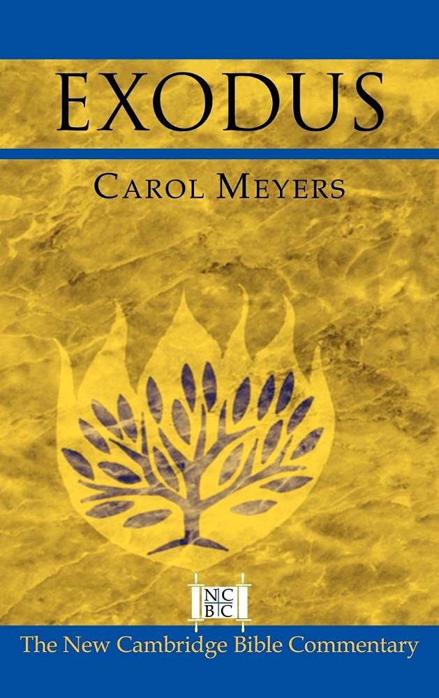 Exodus New Cambridge Bible Commentary: Insightful Analysis