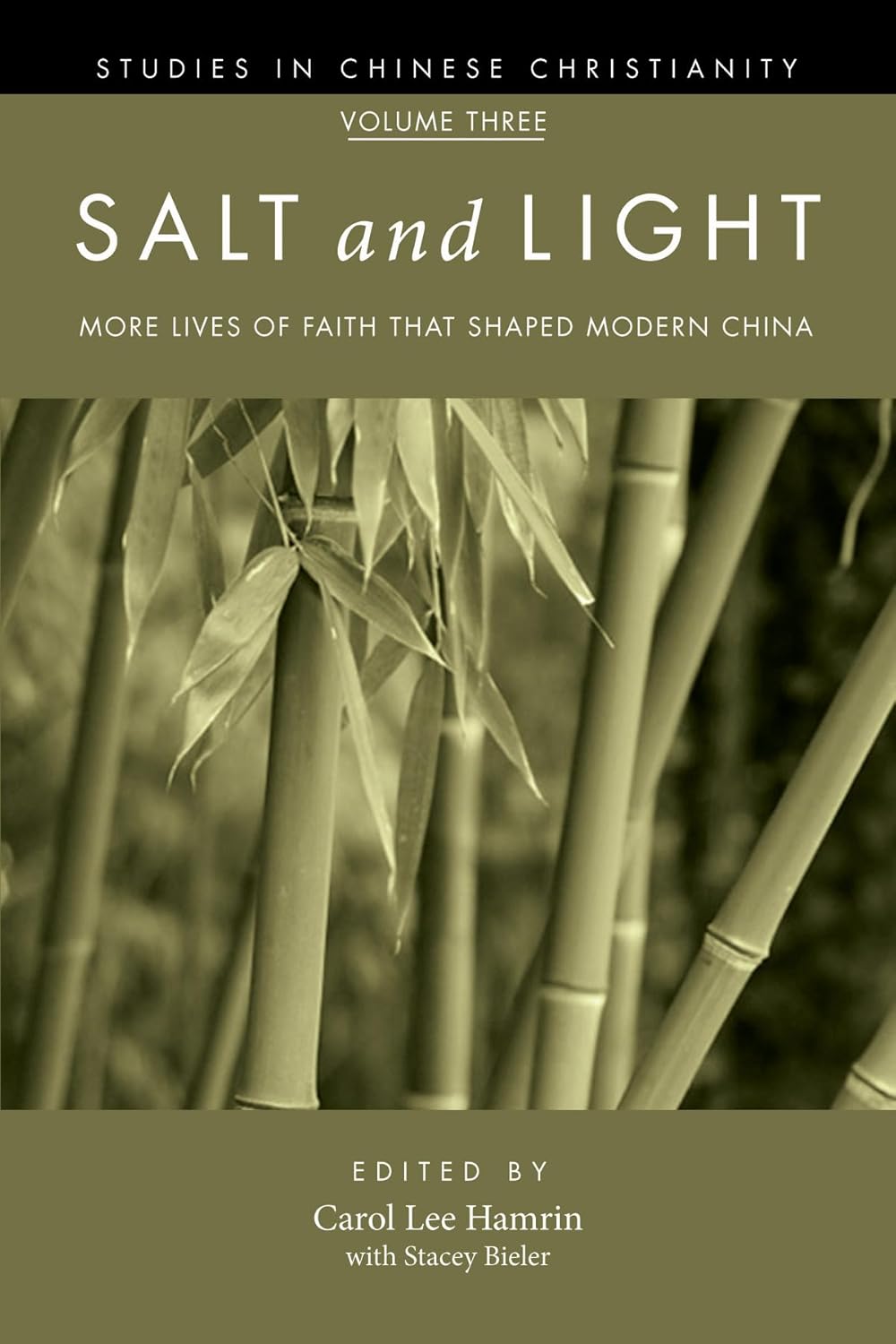 Salt and Light, Volume 3: Lives of Faith Shaping Modern China