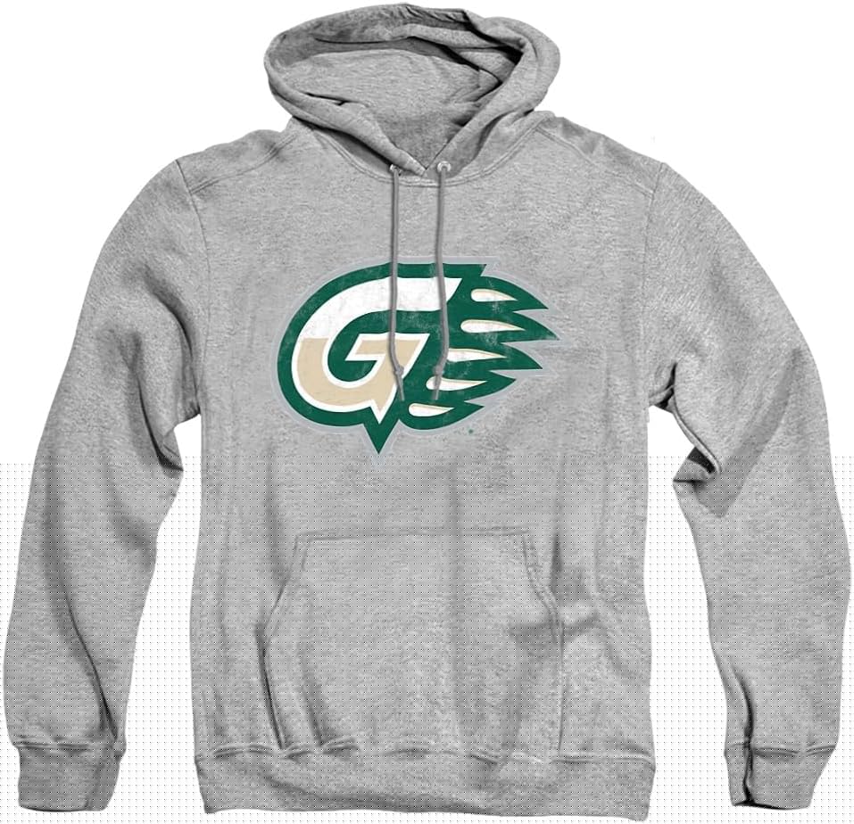 Official Collegiate Distressed Logo Pullover Hoodie Collection