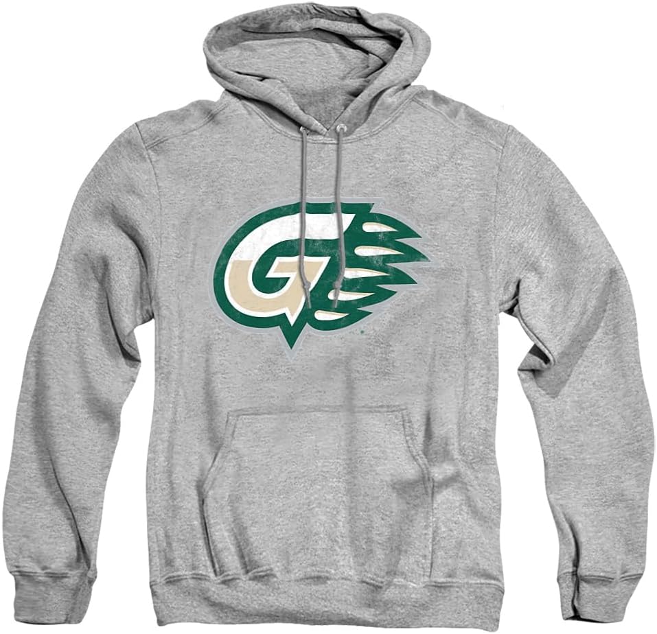 Official Collegiate Distressed Primary Logo Adult Hoodie Collection