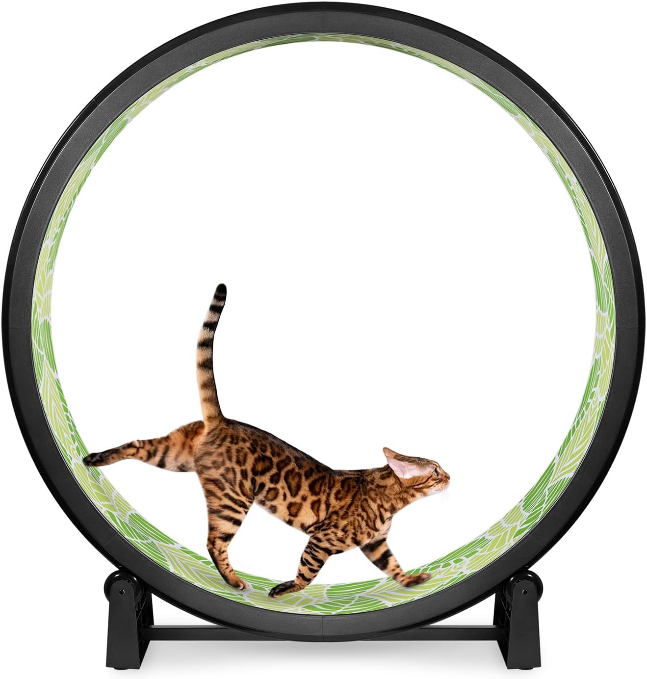 One Fast Cat Exercise Wheel - Safe 48 Inch Indoor Cat Fun