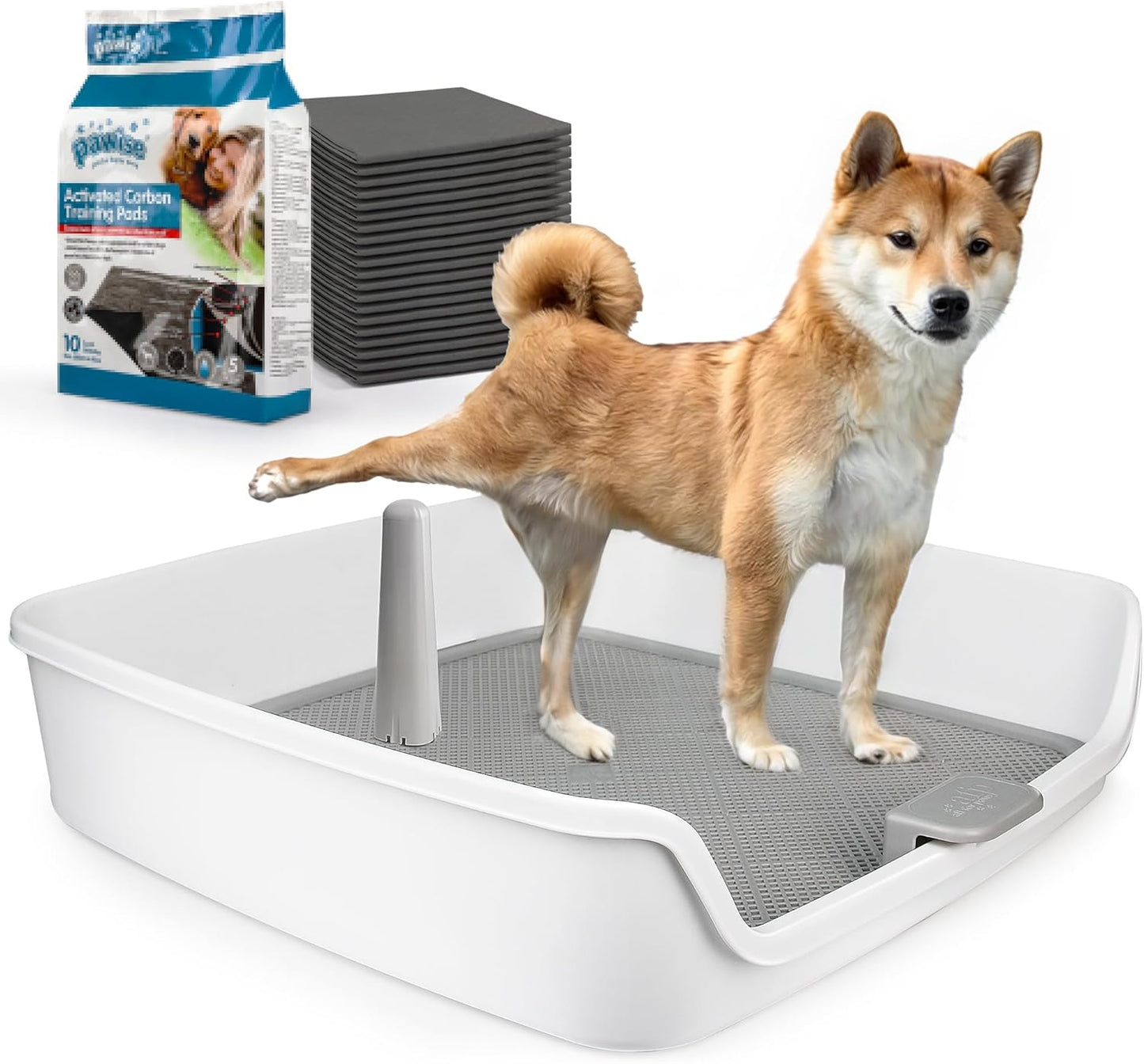 ALL FOR PAWS XL Dog Litter Box for Easy Potty Training
