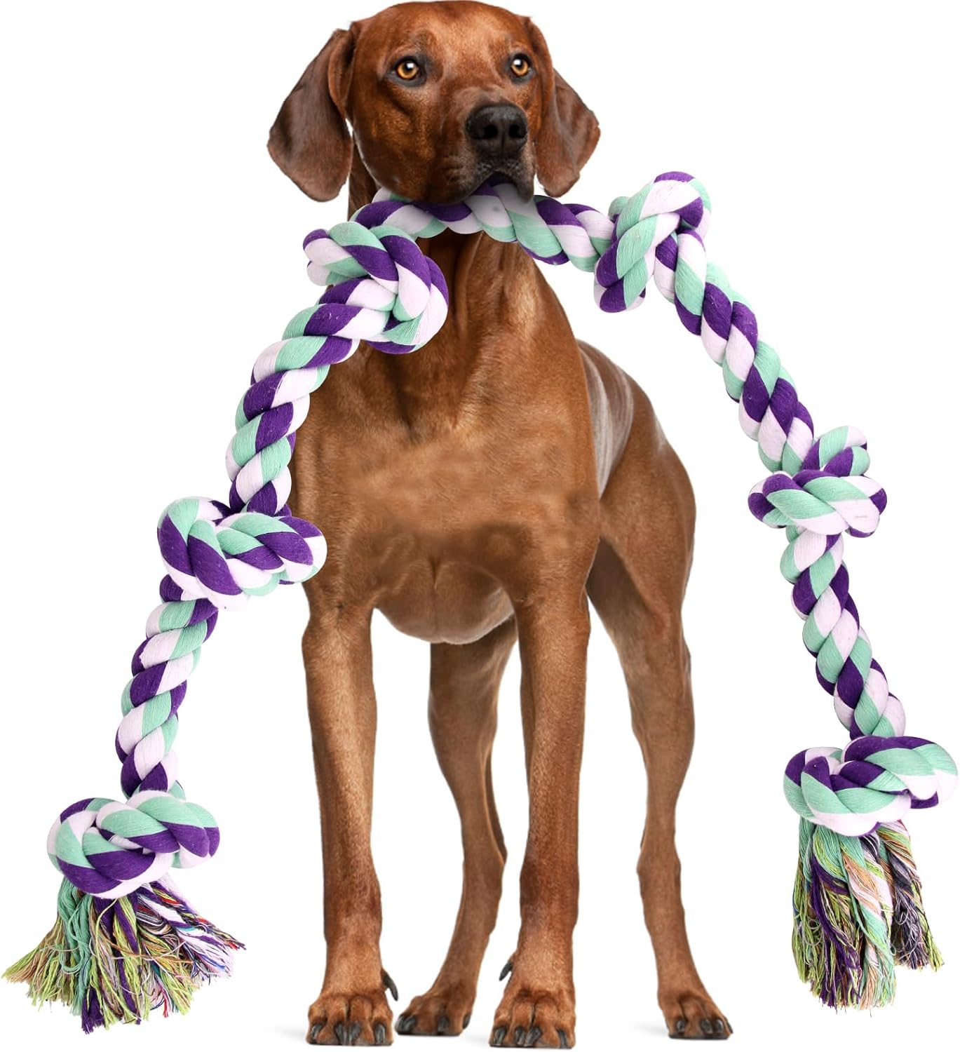 Indestructible Tug Toy for Big Dogs