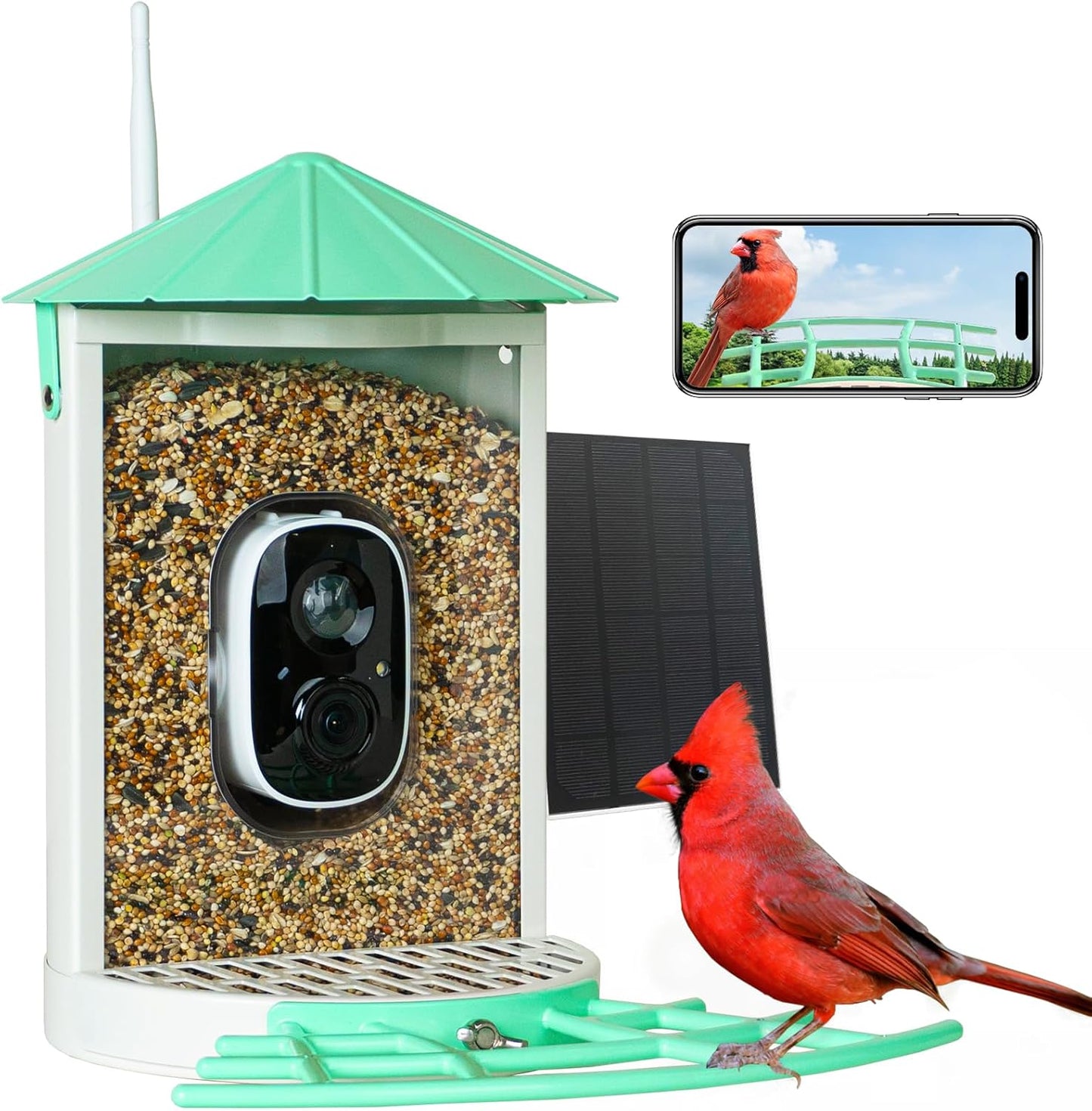 Birdkiss: Solar Smart Feeder with Video Capture