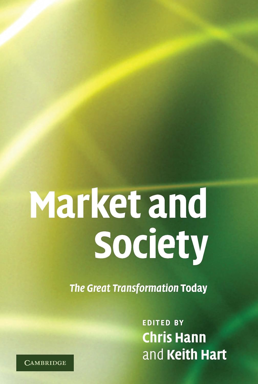Market and Society: The Great Transformation Today Review