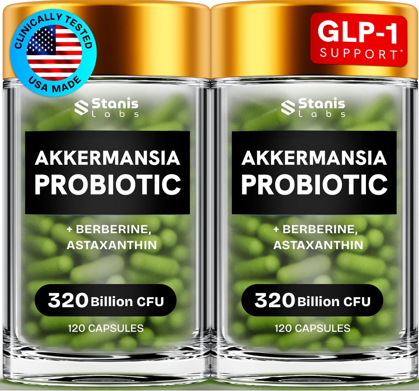 Akkermansia Muciniphila Probiotics for Gut Health and Energy
