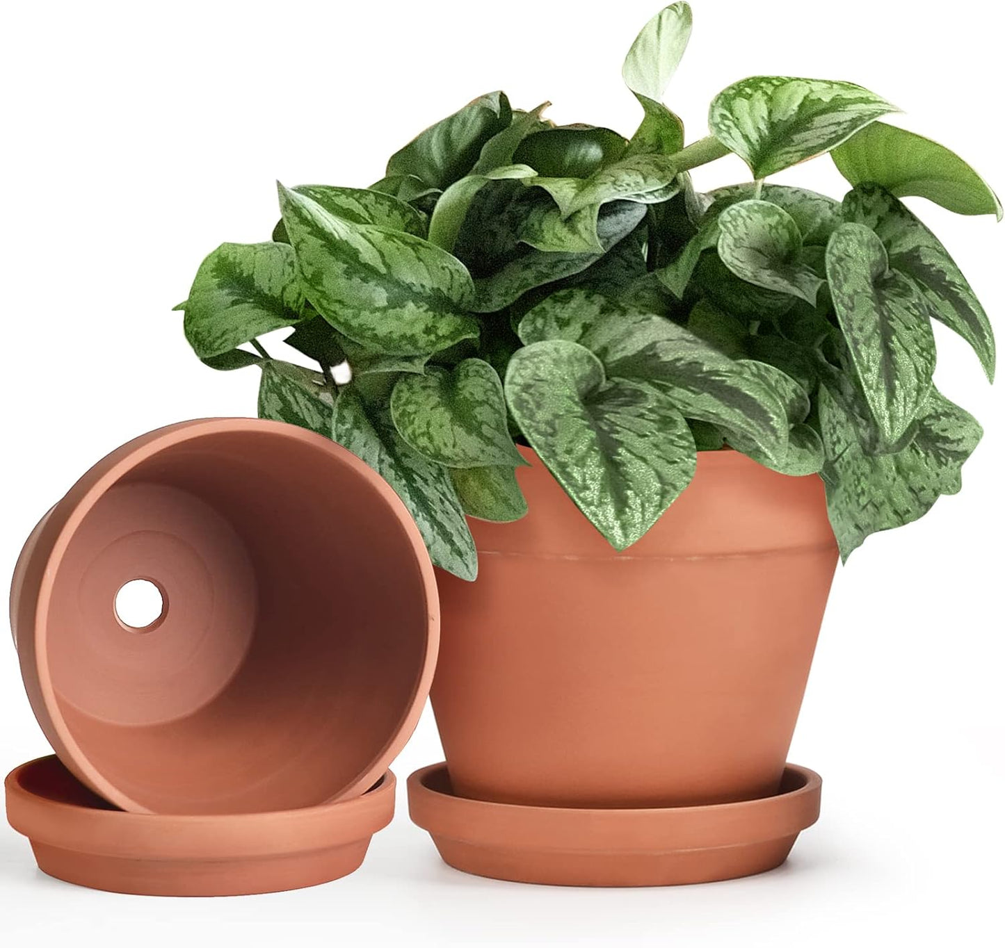 INGOFIN Terracotta Pots Set with Saucer for Indoor Plants