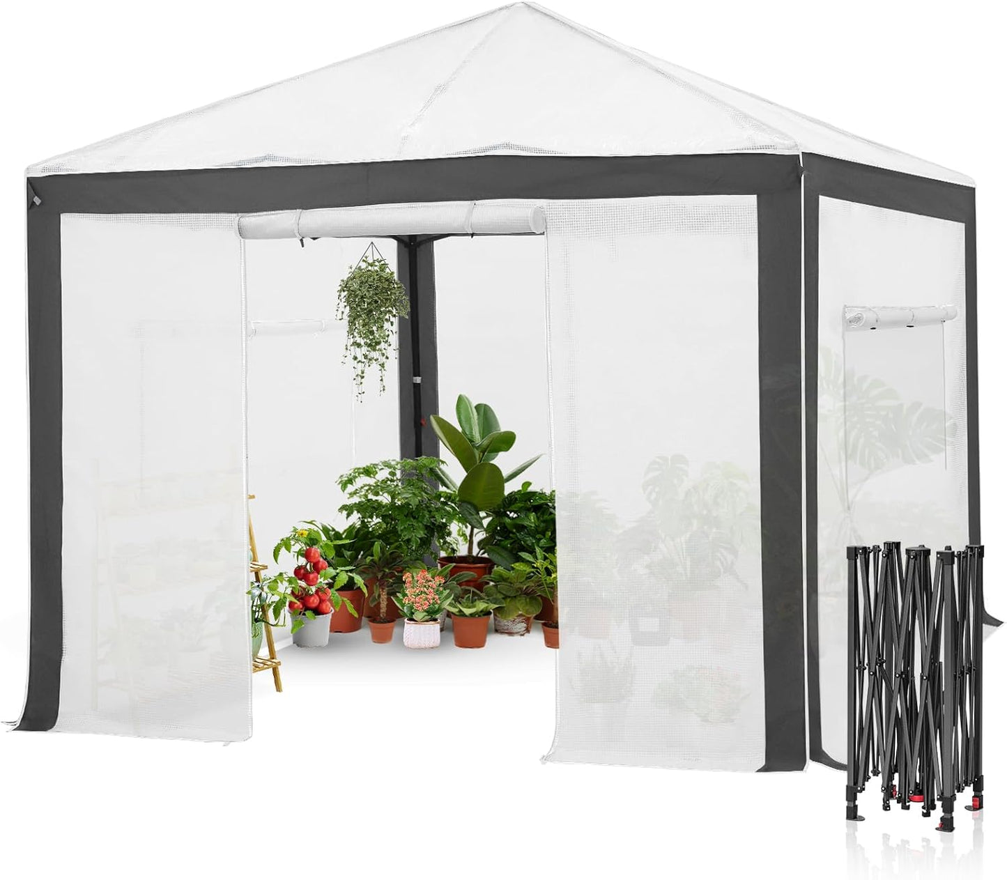 EAGLE PEAK 10x10 Portable Walk in Greenhouse for Gardening