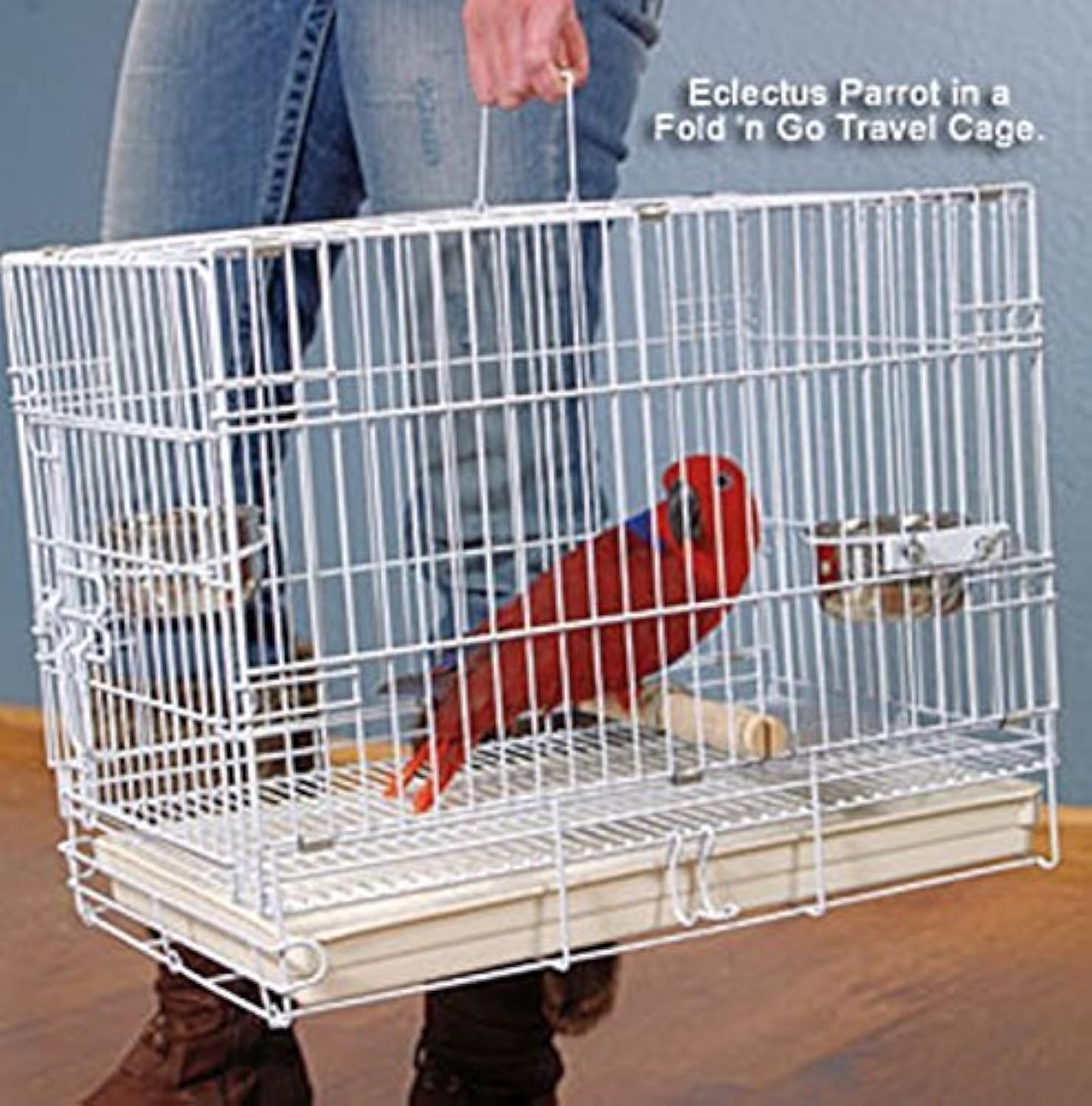 Durable Portable Metal Travel Parrot Bird Carrier Cage Solution