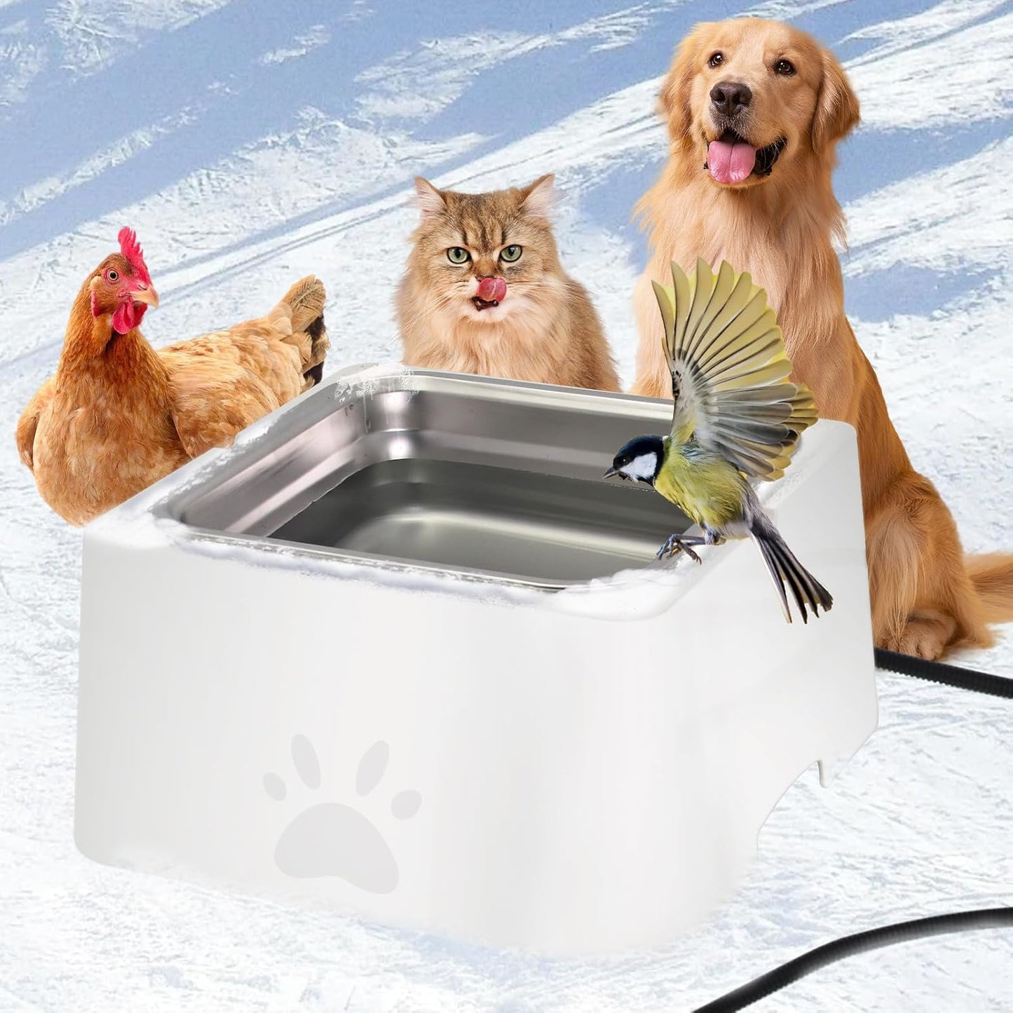 Heated Water Bowl for Outdoor Pets