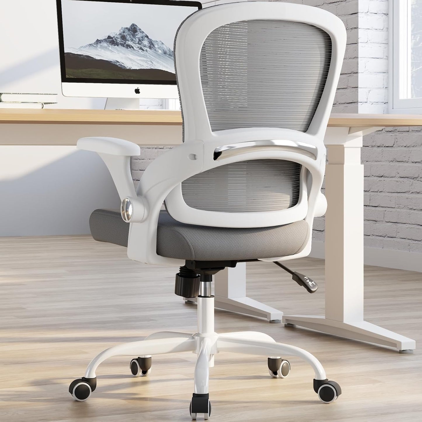 TRALT Ergonomic Office Chair with Back Support for Comfort