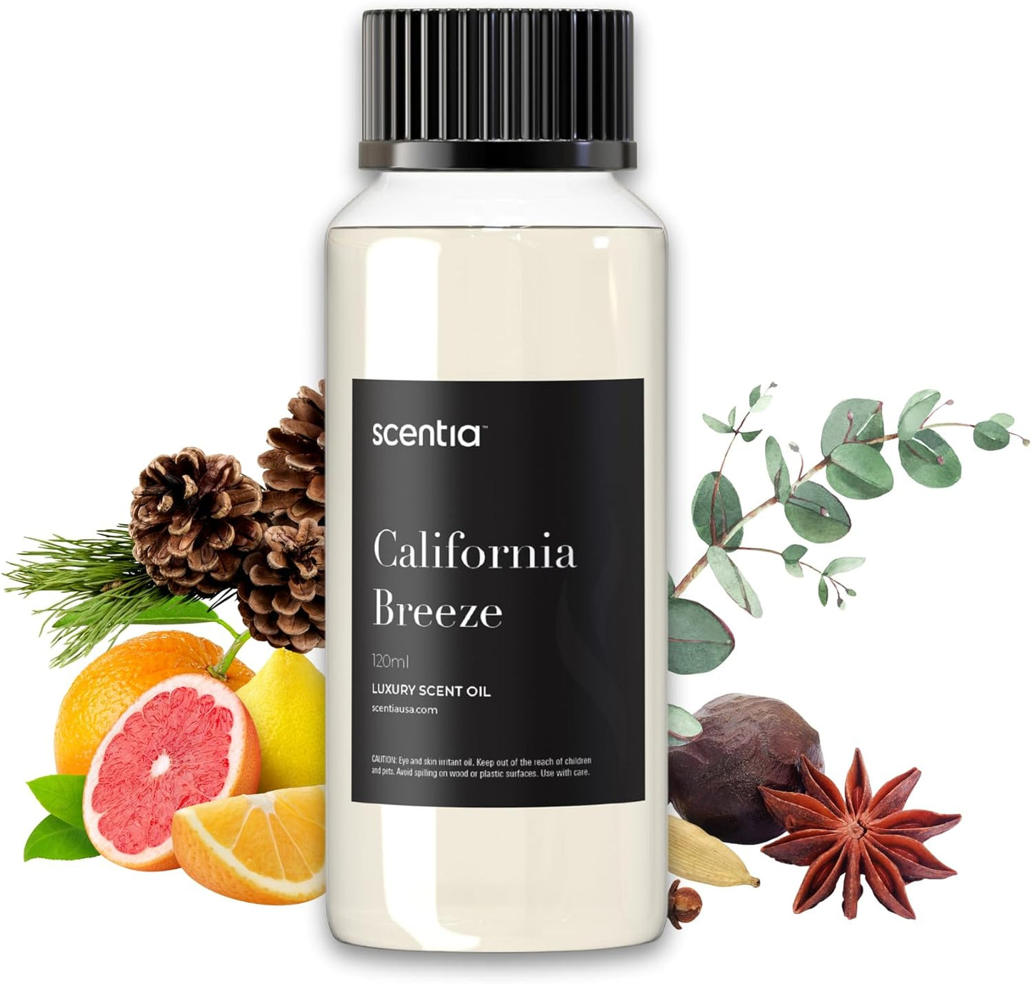 Hotel Diffuser Oil Inspired by Delano Beach Club Scent