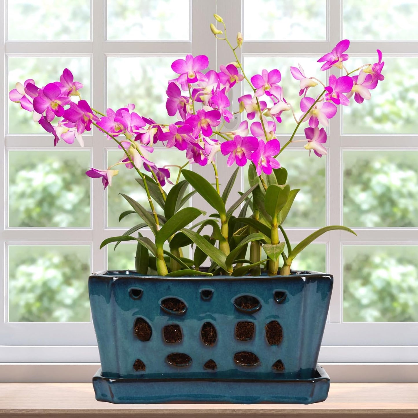 Ceramic Orchid Pot with Holes 9.5 Inch for Healthy Plants