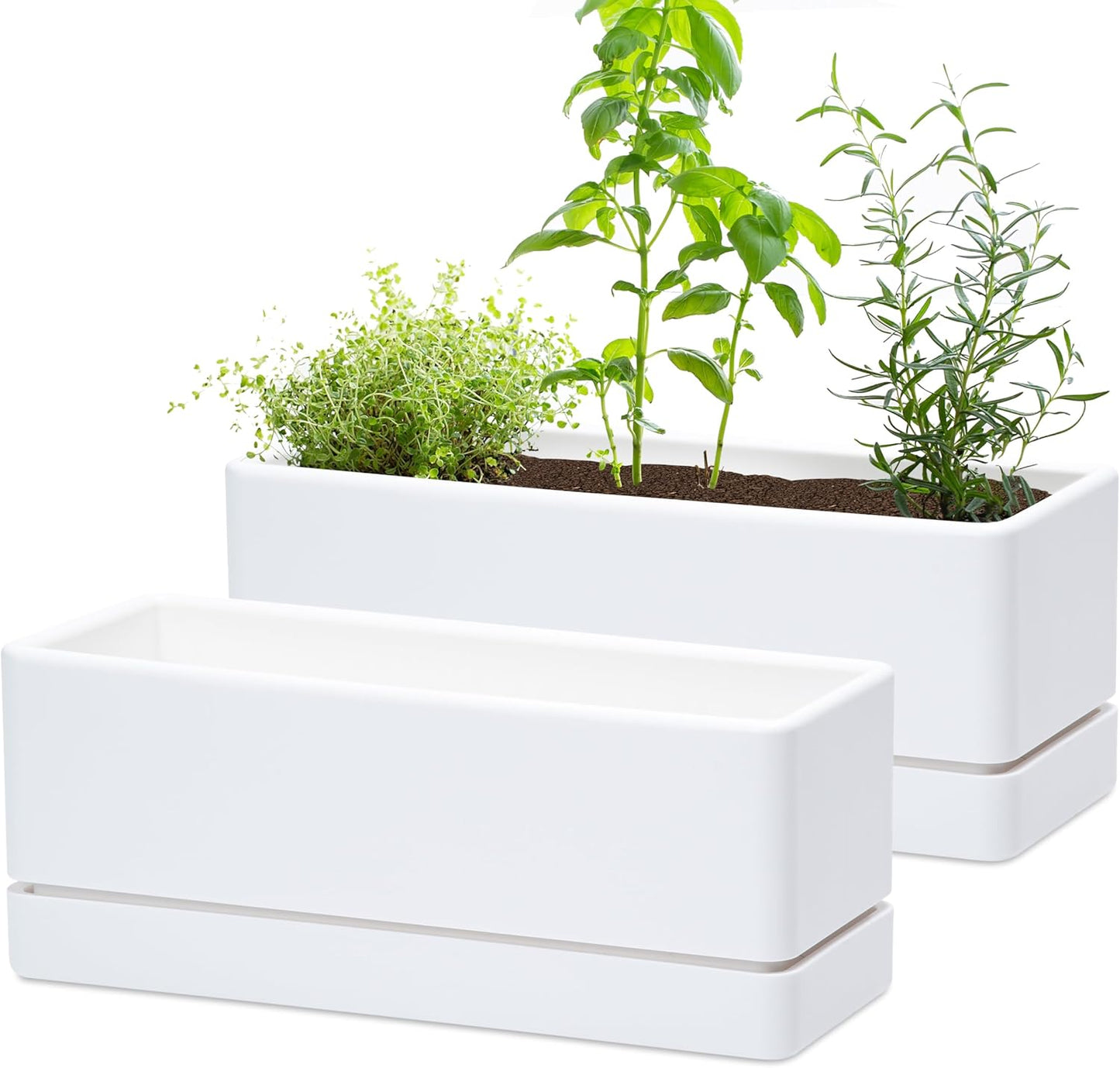 D'vine Dev 12 Inch Window Box Planter for Indoor Herb Garden