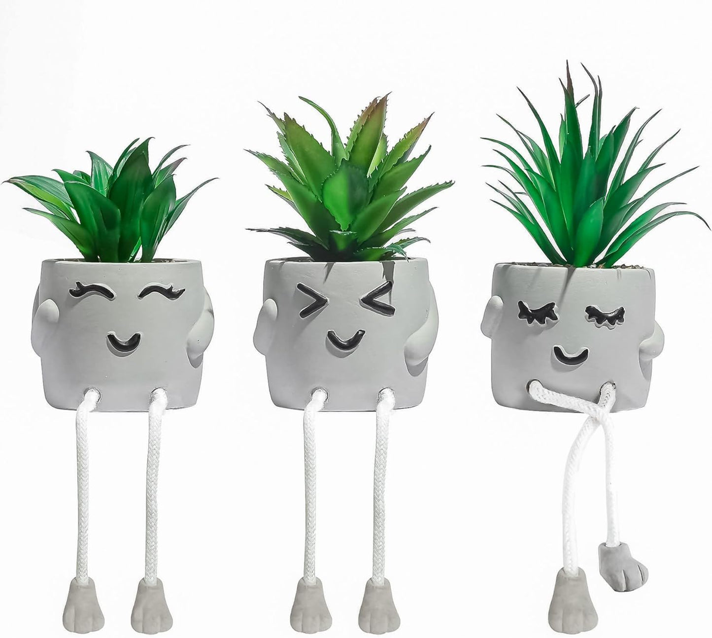 Stylish OLEEK Desk Succulents