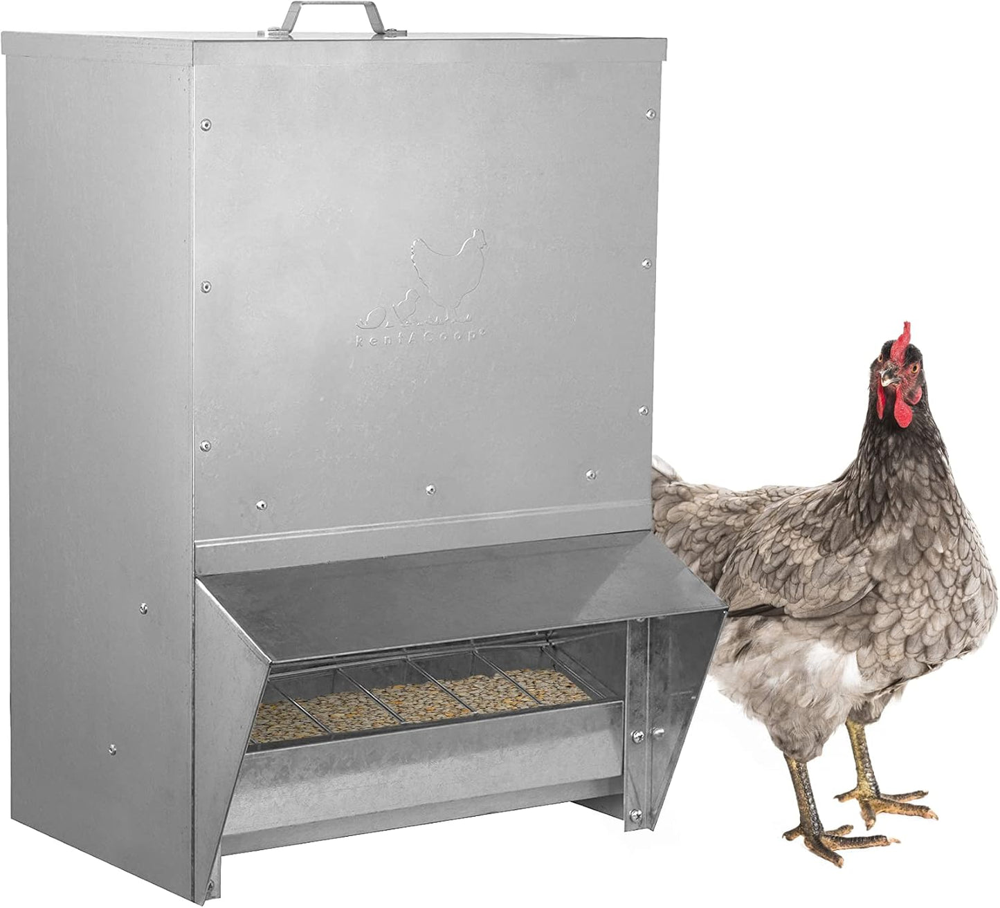 RentACoop Mounted Metallic Trough Poultry Feeder for Chickens