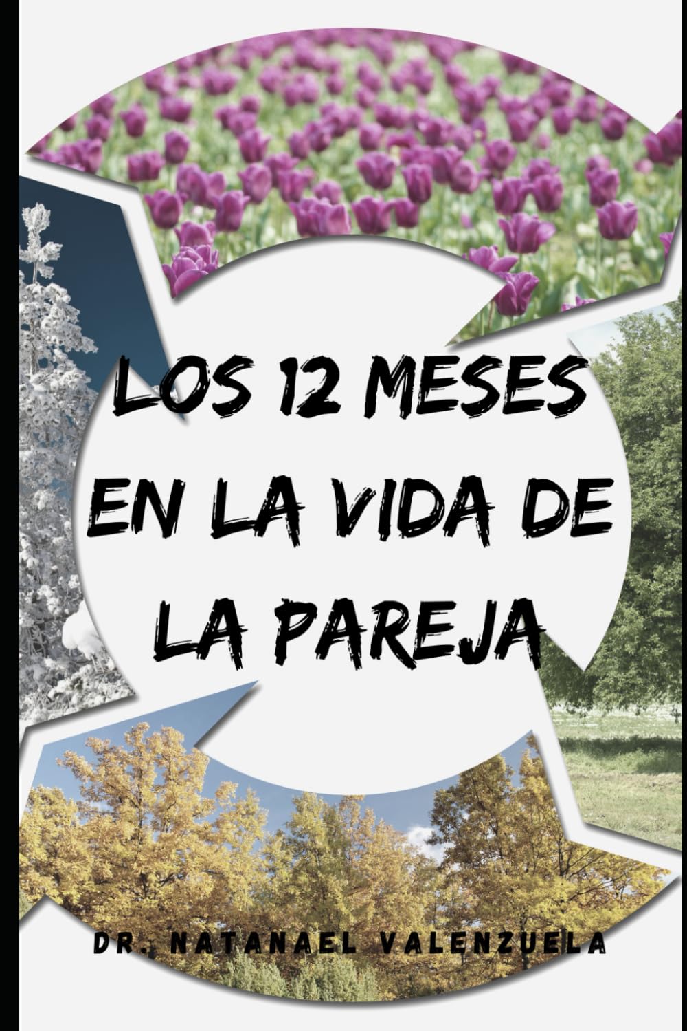 LOS 12 MESES EN LA VIDA EN PAREJA: Un Viaje Emocional y Reflexivo
